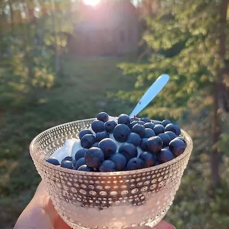 Kotoisa Hirsihuvila Yllaeksellae Villa