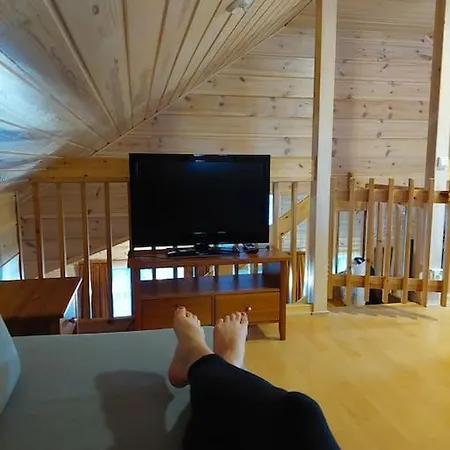 Kotoisa Hirsihuvila Yllaeksellae Villa